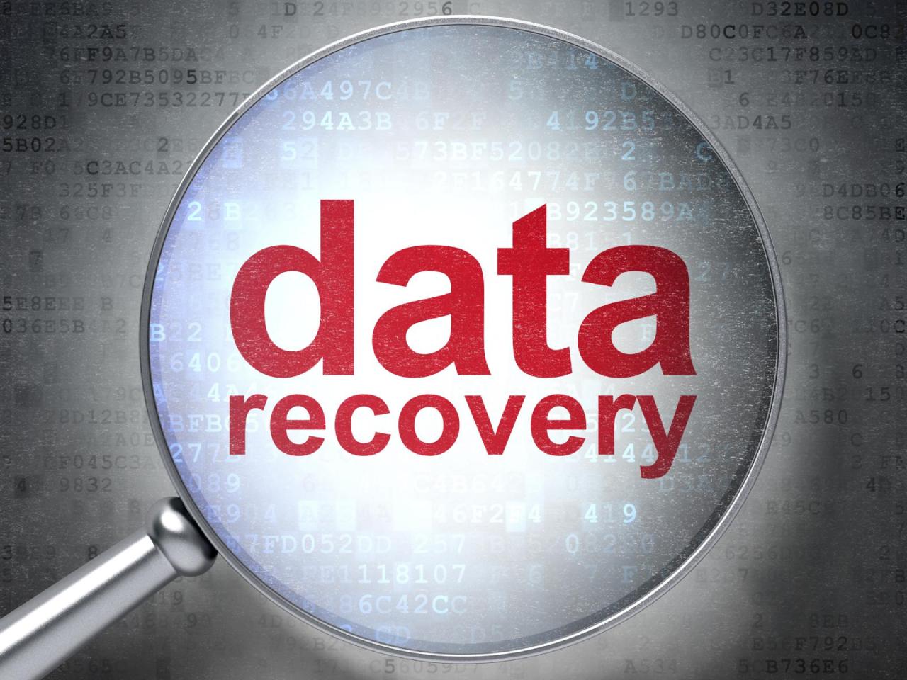 Data recovery software